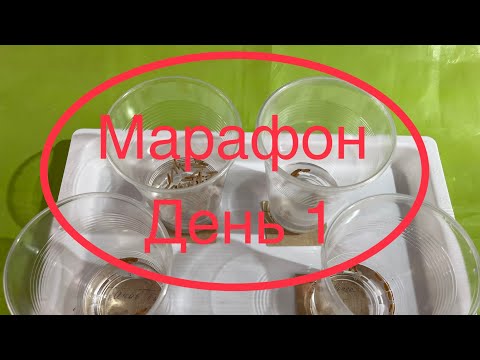 Видео: Марафон Начало 🤗👍