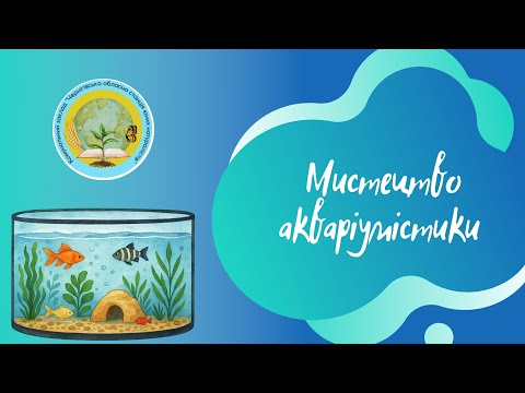 Видео: Мистецтво акваріумістики. Акваріумні рослини.