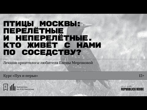 Видео: «Птицы Москвы: перелётные и неперелётные» Лекция орнитолога-любителя Елены Мироновой
