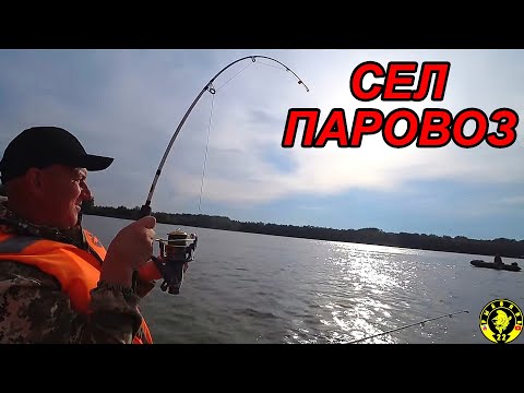 Видео: ТАКУЮ РЫБУ НЕ ТЯНУЛ! РЫБАЛКА НА САЗАНА В КАМНЕ-НА-ОБИ.