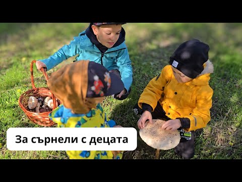 Видео: За сърнели с децата