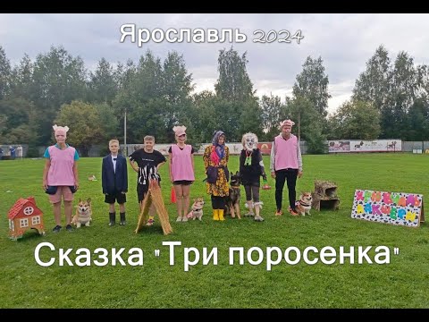 Видео: Сказка "Три поросёнка"