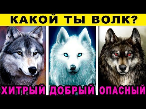 Видео: Тест! КАКОЙ ТЫ ВОЛК? Невероятный Тест на Характер! Узнай о себе правду! Точность 99%