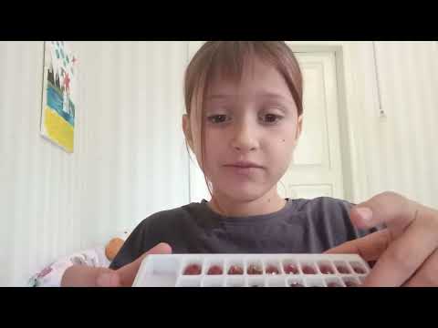 Видео: 30 вересня 2025 р.