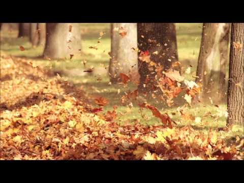 Видео: Випассана. День 2. Лекции С. Н. Гоенка / S. N. Goenka