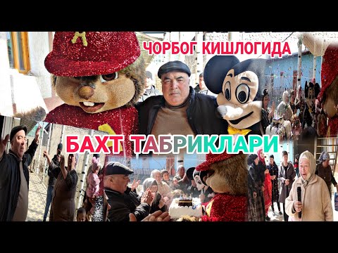 Видео: (БАХТ ТАБРИКЛАРИ ) ФАРИДУН УРУШБОЕВ БИЛАН ЧОРБОГ КИШЛОГИДА !