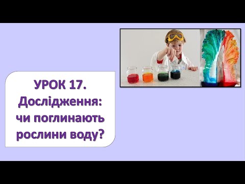 Видео: ЯДС 2 клас. Урок 17. Дослідження: чи поглинають рослини воду?