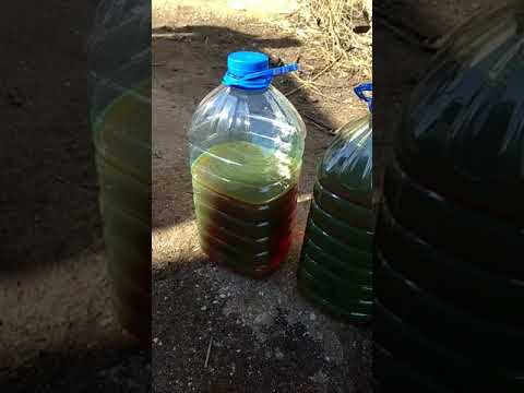 Видео: Вольво фл6, 2003 г. замена масла в мосту и коробке,