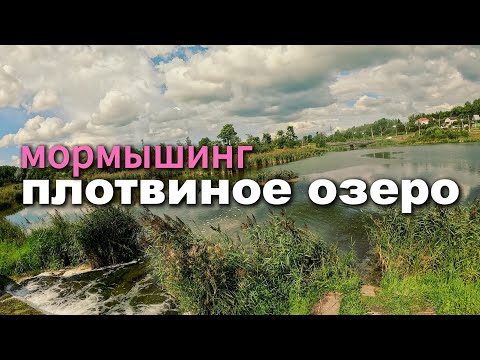 Видео: Плотвиное озеро - БЕЗ ПЛОТВЫ 🤔Зато ЕСТЬ ОКУНЬ! #мормышинг #рыбалка #nanojig #fishing #плотва #озеро