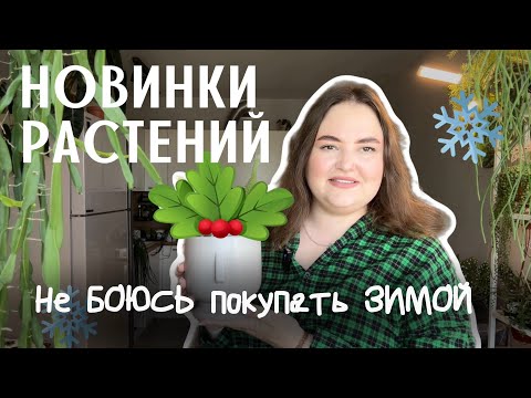 Видео: НОВЫЕ РАСТЕНИЯ | Как выглядят РАСТЕНИЯ купленные ЗИМОЙ