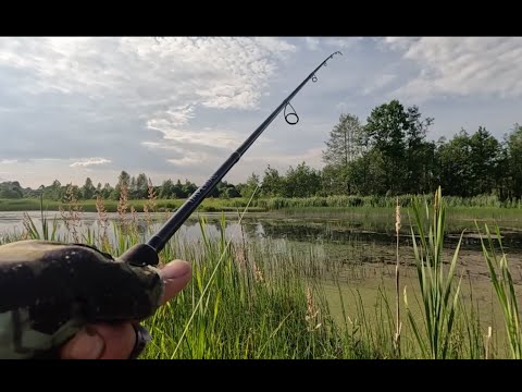 Видео: Ловля ЩУКИ на МЕЛКОВОДЬЕ! Приманки для ЖАБОВНИКА!