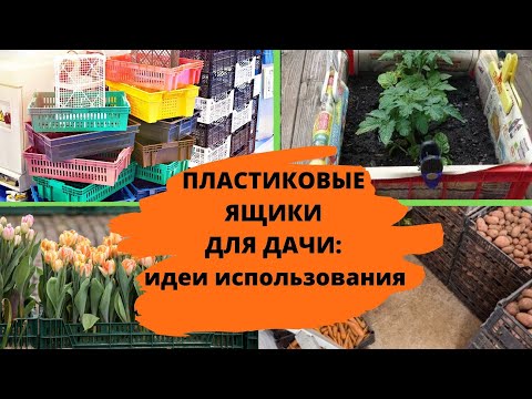 Видео: Пластиковые ящики для ДАЧИ: идеи применения