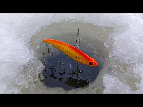 Видео: БЕЗОТКАЗНАЯ приманка на реке. Рыбалка КАК В СКАЗКЕ! Ловля зимой со льда в 2025