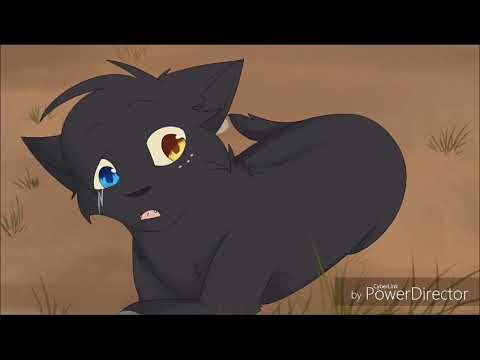 Видео: Я прошу не забирай ты к себе её