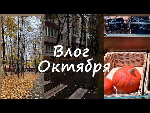 Видео: ВЛОГ ОКТЯБРЯ: осень в Москве, прогулка, книжные рекомендации, преступление и наказание