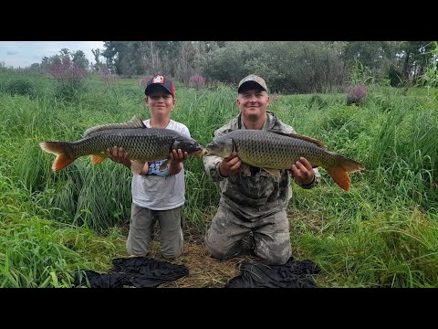 Видео: БЕЗУМНАЯ РЫБАЛКА!! КАТУШКИ ДЫМЯТСЯ от САЗАНА! РЫБАЛКА на САЗАНА #рыбалка  #ловлясазана