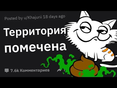 Видео: БЕЗУМНЫЕ Выходки Ваших Домашних Питомцев