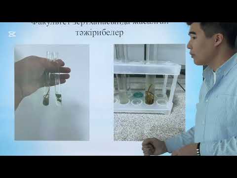 Видео: 29 октября 2025 г.