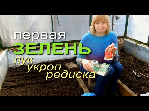 Видео: РАННЯЯ ПОСАДКА ЗЕЛЕНИ В ТЕПЛИЦЕ! ЛУЧОК, УКРОП, ШПИНАТ, РЕДИСКА! Советы от ЗЕЛЕНОГО ОГОРОДА!