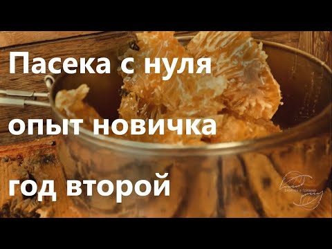 Видео: Как начать пасеку 2. Достижения и ошибки второго года пасеки.