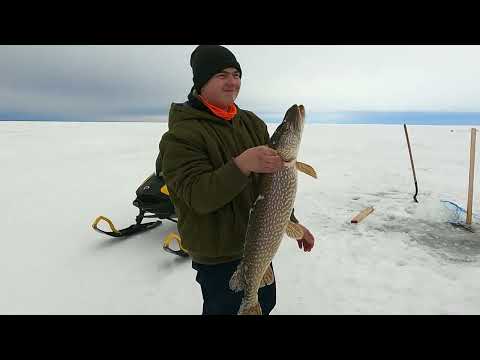 Видео: Рыбалка на севере Канады часть 1я