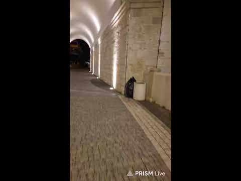 Видео: Сочи.Набережная 4.11.2025г.