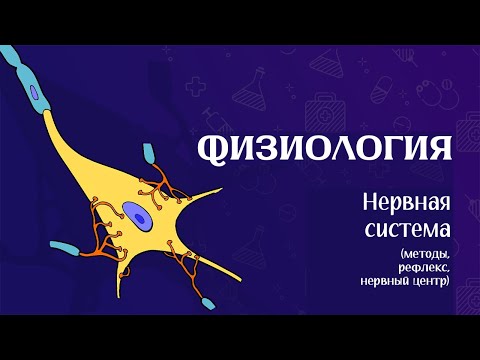 Видео: Физиология ЦНС