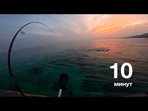 Видео: Вся рыба за 10 минут с утра ┃Рыбалка в полнолуние на рифе Бали