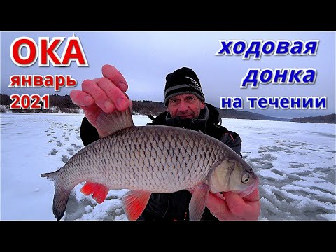 Видео: ХОДОВАЯ ДОНКА НА ТЕЧЕНИИ. Рыбалка на ОКЕ в январе 2021.