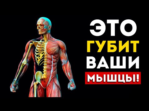Видео: Эти 5 вещей ГУБЯТ ваши мышцы (Это нужно знать)