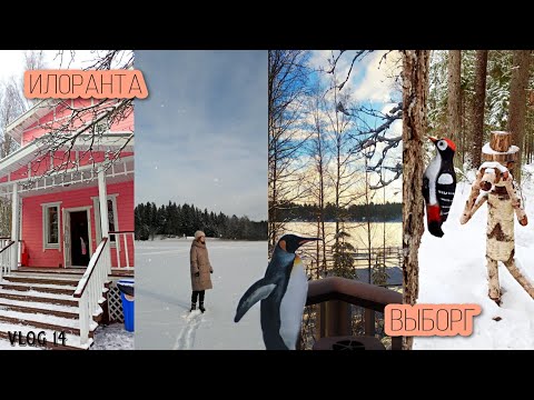 Видео: ☃️Vlog 14/Выборг/База отдыха "Илоранта"❄