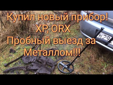 Видео: Купил XP ORX первый пробный выезд по выбитым местам!