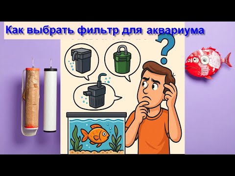 Видео: Фильтр для аквариума: чтобы чисто, а не чистилище! Как выбрать фильтр и не утонуть в выборе.