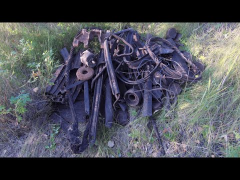 Видео: ВСЁ ТАКИ УДАЛОСЬ НАКОПАТЬ. ЛЕСОПОЛОСА С МЕТАЛЛОМ В ПОЛЕ. МЕТАЛЛОКОП