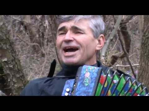 Видео: Андриановска ночь