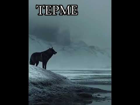 Видео: Терме