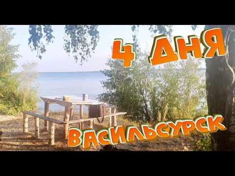 Видео: [2023] Рыбалка на Волге и Суре | 08.2023 | Васильсурск, Лысая Гора | 4 дня на Волге #рыбалка #спин