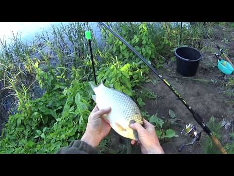 Видео: Фидер на Дону.И снова карась.