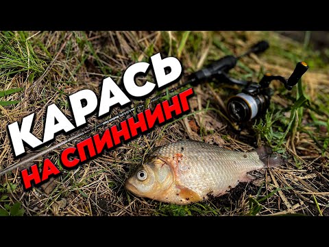 Видео: КАРАСЬ на СПИННИНГ - это просто. Приманки, проводки, секреты. Мормышинг на малой реке