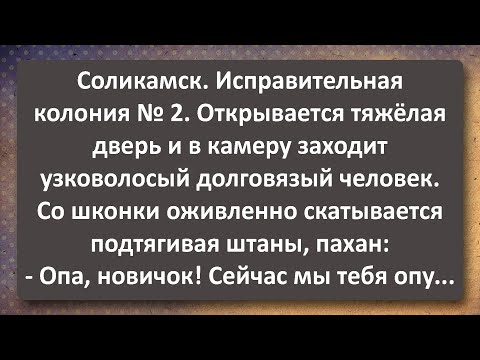 Видео: Узковолосый Душегуб! Сборник Самых Свежих Анекдотов!