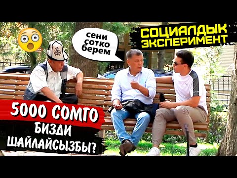 Видео: ДОБУШТУ САТКАНЫН ҮЧҮН - СОТКО БЕРЕМ ДЕДИ
