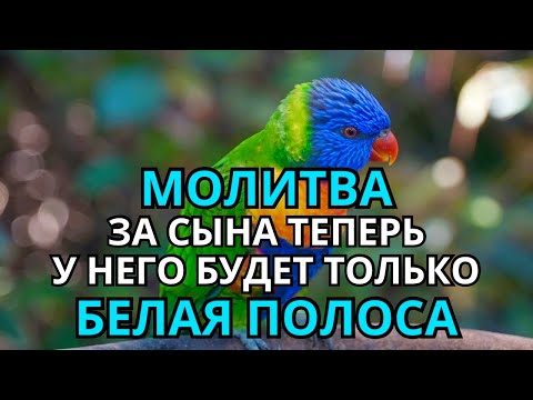 Видео: 🤲 Каждая Мать должна послушать эту молитву! Очень сильная молитва за СЫНА от БЕДЫ, ПОРЧИ И Неудачи!