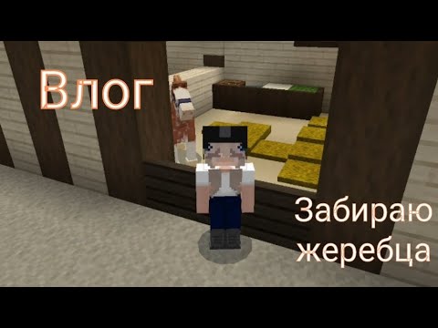 Видео: Забираю клубного жеребца🫶🏻🩷 | Влог на конюшне | кск в Майнкрафт | кск мираж |#лошади #minecraft