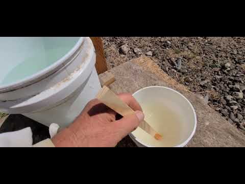 Видео: 8 августа делаем отводки  и сколько хлорки добавляем в сироп  для дизинфекции