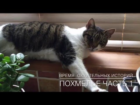 Видео: Время Охуительных Историй Как побороть похмелье: самые проверенные способы Часть 1