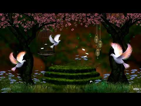 Видео: гр. Мелодия - Вили лиф