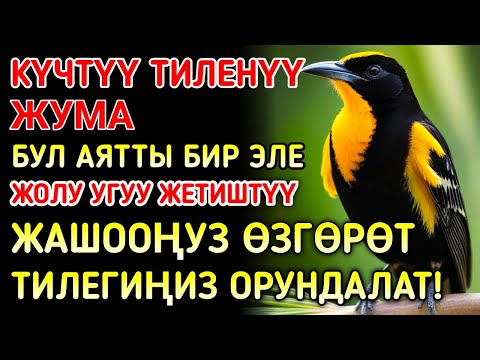 Видео: Жума күнүндөгү ЭҢ КҮЧТҮҮ ДУА! Бардык каалоолор кабыл болот! БАЙЛЫК, ПАЙДА ЖАНА БААКЫТ 🌙✨
