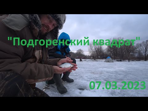 Видео: "Подгоренский квадрат", 07.03.2023, ПГТ "Подгоренский"