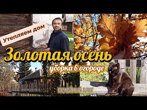 Видео: ОСЕННИЕ ХЛОПОТЫ В ЧАСТНОМ ДОМЕ