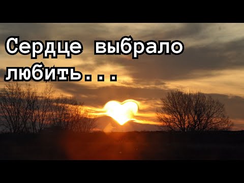 Видео: Самая трогательная О ЛЮБВИ песня. Настоящие чувства. Настоящая любовь